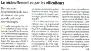 rechauf vigneron 001