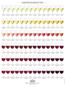couleurs-vins.jpg