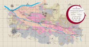 Zoom Chinon, l'apellation