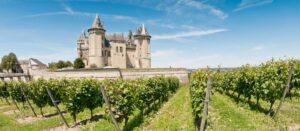 Loire, Questions Vrai ou Faux