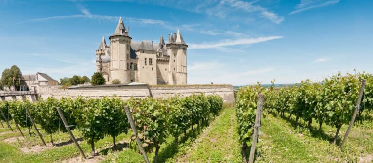 Loire, Questions Vrai ou Faux