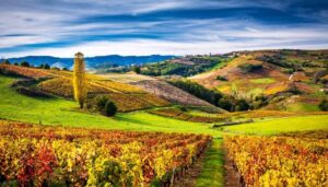 Jeu Les Crus du Beaujolais