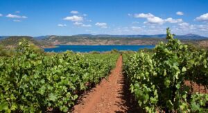 Quizz 11. La région Languedoc-Roussillon
