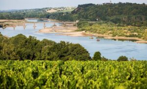 Jeu Situer les appellations en France