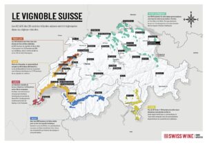 Le Vignoble Suisse : Tour d'horizon d'un pays viticole méconnu