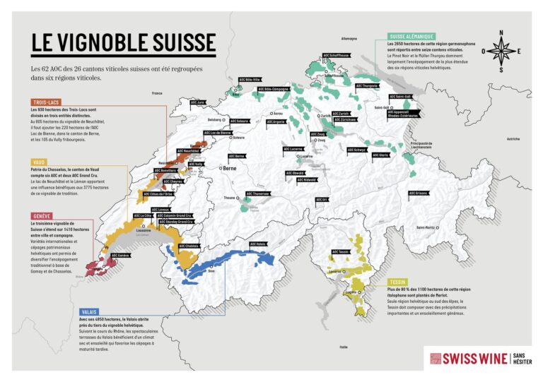 Le Vignoble Suisse : Tour d'horizon d'un pays viticole méconnu