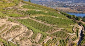 Quizz 9. La Région Vallée du Rhône