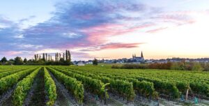 Est ce que l'AOC protège et respecte l'expression du Terroir ?
