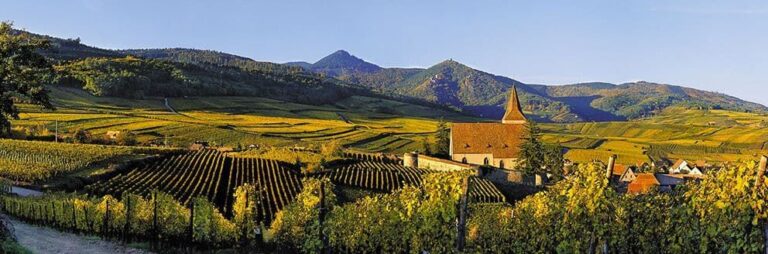 Quizz 5. La région Alsace...