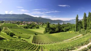 Quizz 8. La région Savoie