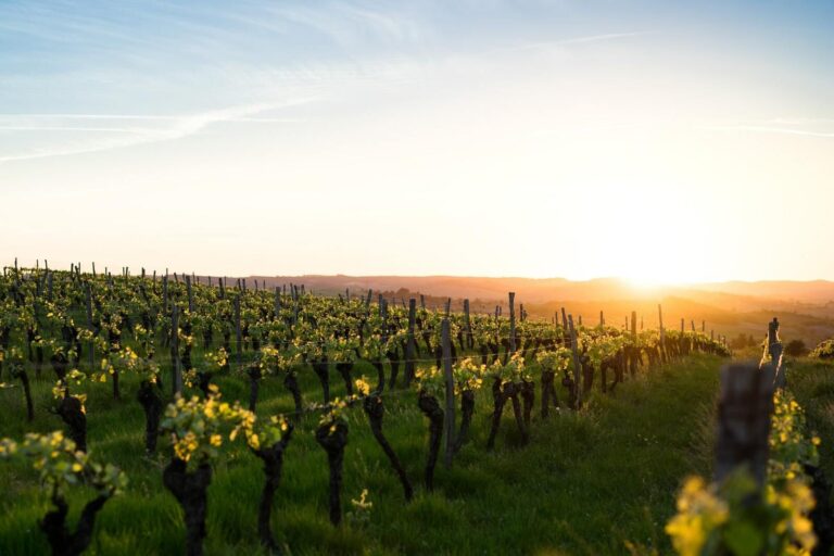 La Biodynamie, ses fondements...