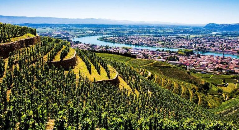 Jeu Situer les appellations de la Vallée du Rhône