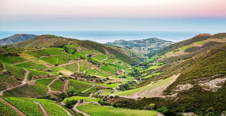 Qu’est ce qu’un vin de terroir ?