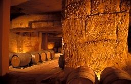 Photos de caves à vins