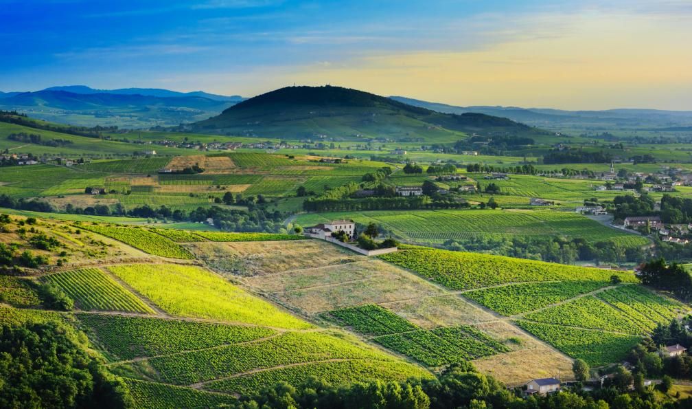 Comprendre la découpe des parcelles en Bourgogne