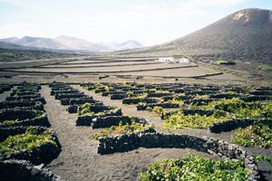 Lanzarote_LaGeria.jpg