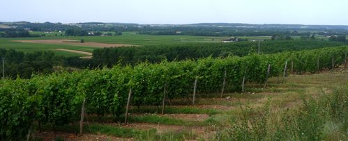 Région de Chinon