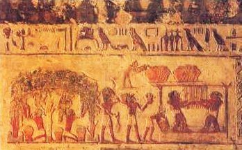 Images, qui représentent le vin, à l'époque l'antiquité. Origine de Grèce, de l'Egypte et de Rome...