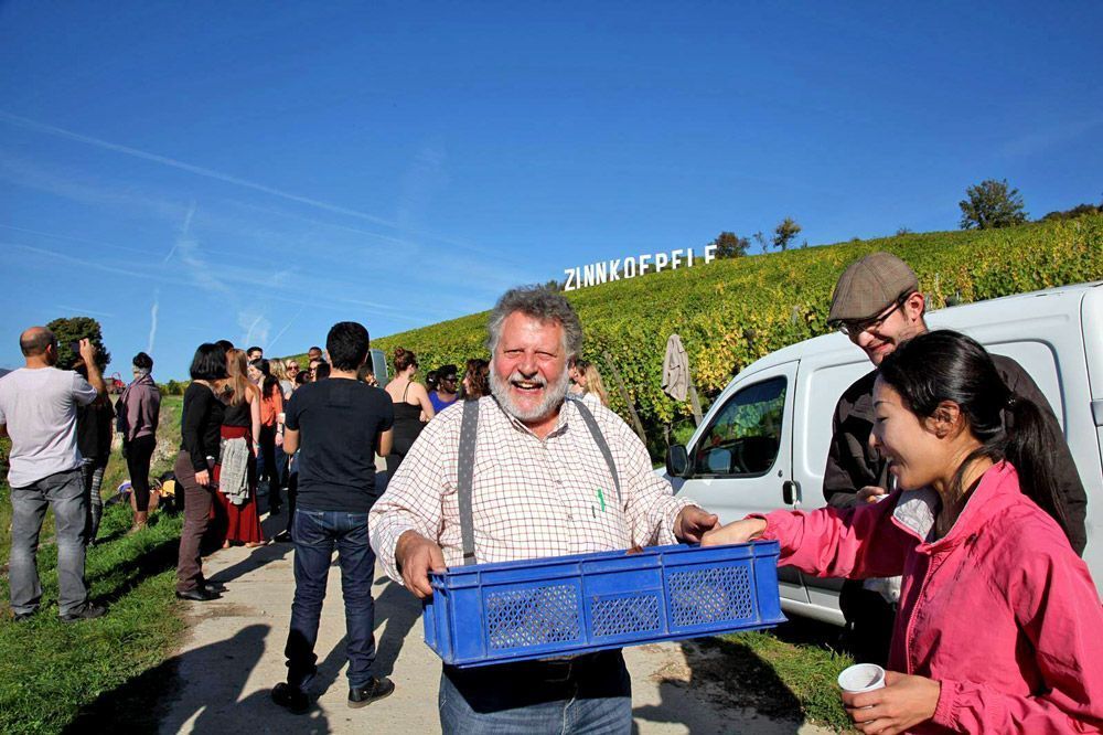 Seppi Landmann lors des vendanges