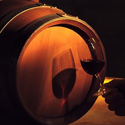 Photos de caves à vins