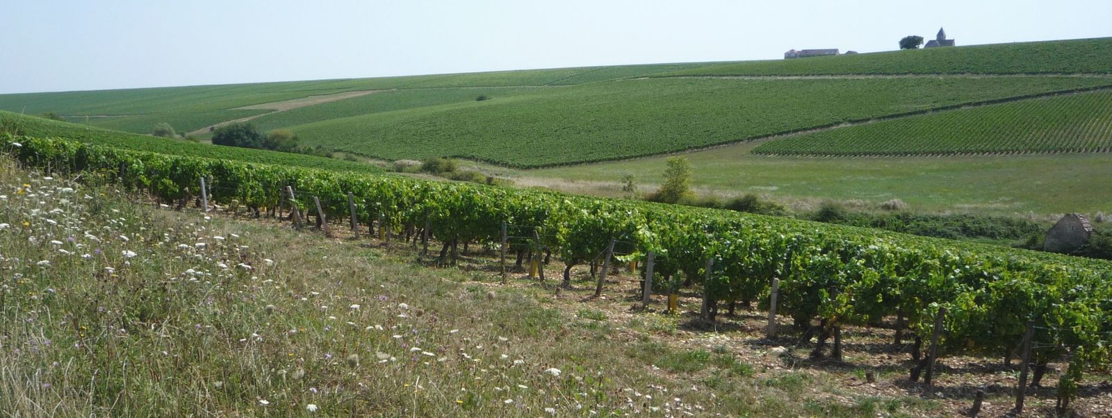 Album - Visite-au-Domaine-de-Clotilde-Davenne