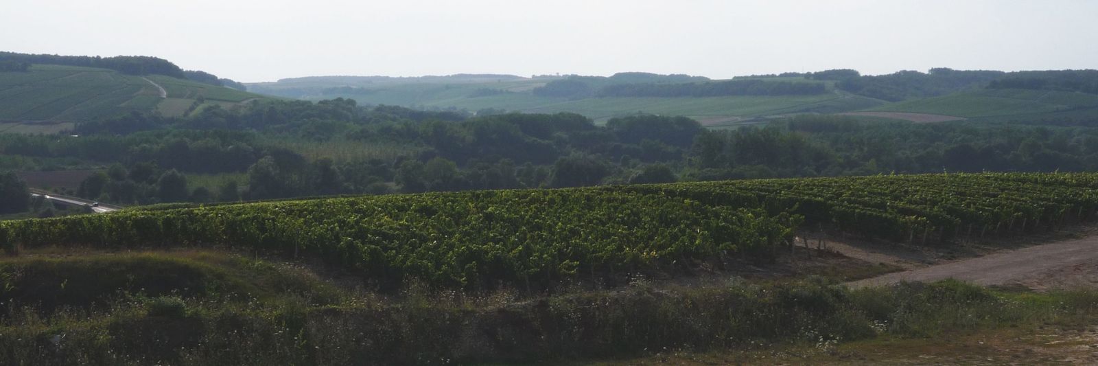 Album - Parcelles-Grands-Crus-Chablis