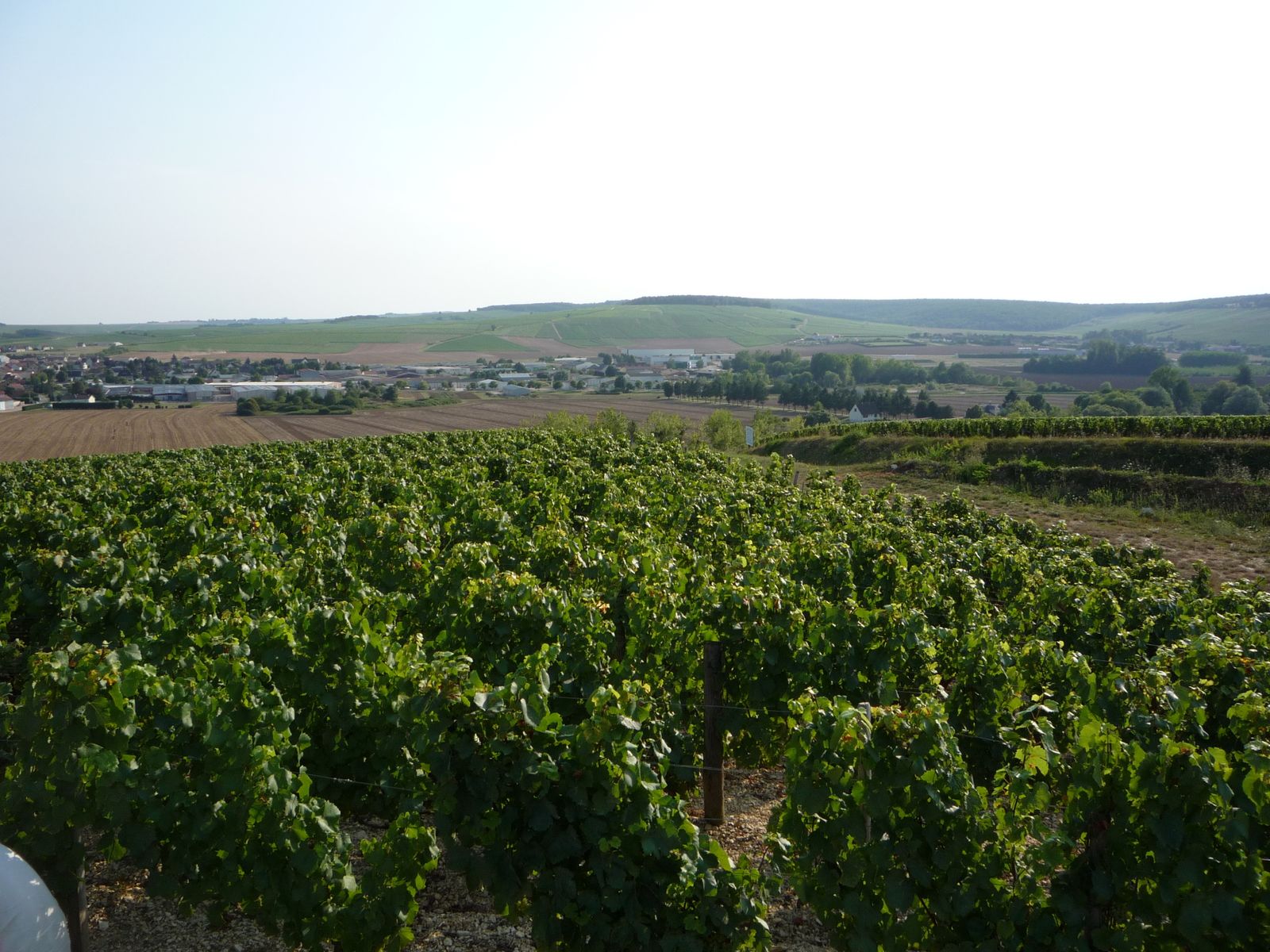 Album - Parcelles-Grands-Crus-Chablis