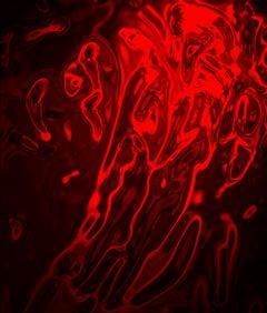 null lumiere-rouge.jpg
