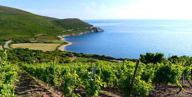 Quizz 10. Les Régions Corse et Provence
