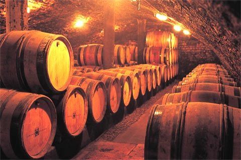 Photos de caves à vins