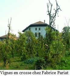 crosse-de-marin.jpg