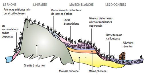 coupe-geologique-cote-rotie-1.jpg