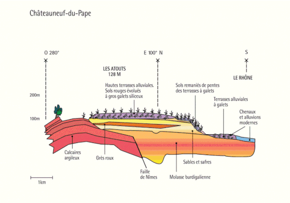 terroirchateauneufdupape.gif