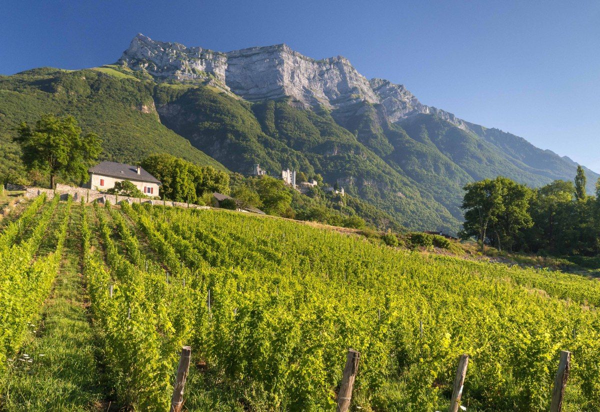 Tribulations d’un Ch’ti en Savoie 1.