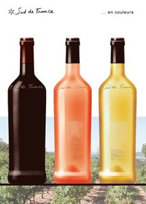 sud-de-france-bt-vin.jpg