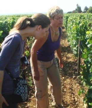 Album - Visite-au-Domaine-de-Clotilde-Davenne
