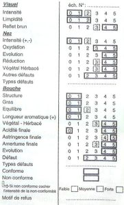 fiche-degust-2.jpg